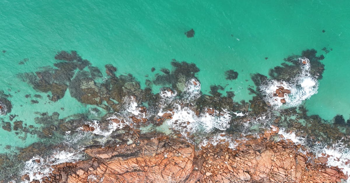 découvrez les signaux de température aquatique, un sujet crucial pour comprendre les écosystèmes marins et d'eau douce. explorez l'impact des variations de température sur la biodiversité, le climat et les ressources en eau.
