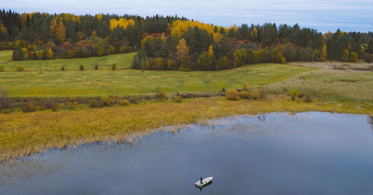 découvrez les plaisirs de la pêche en automne : des paysages colorés, des techniques adaptées et des conseils pour tirer le meilleur parti de cette saison. plongez dans une expérience unique au milieu de la nature et appréciez chaque instant au bord de l'eau.
