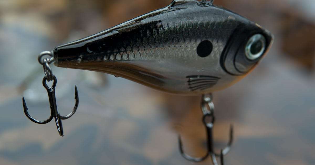 découvrez les plaisirs de la pêche en automne : des conseils pour choisir les meilleurs spots, les techniques adaptées à cette saison et les poissons à cibler. profitez des couleurs vibrantes et de la tranquillité des paysages automnaux tout en vous adonnant à votre passion.
