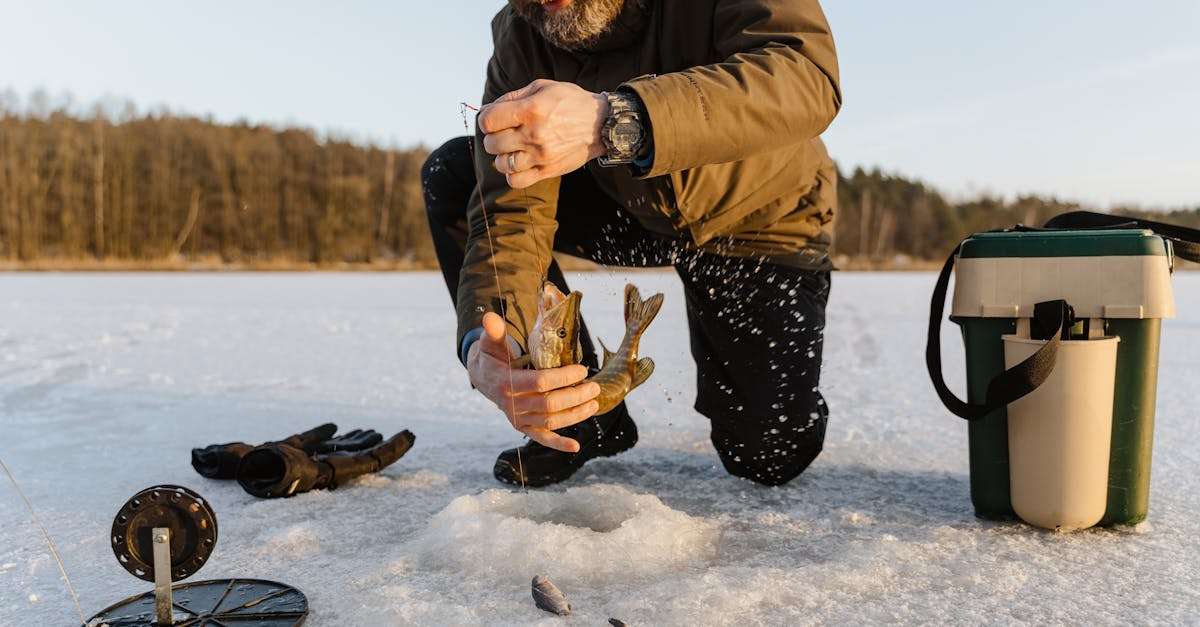 découvrez tout sur les appâts : types, techniques de pêche, conseils pour choisir le bon appât et améliorer vos chances de succès lors de vos sessions de pêche.