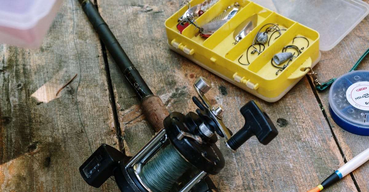 découvrez notre sélection de leurres et appâts (bait) pour une pêche réussie. que vous soyez débutant ou expert, trouvez les outils adaptés à vos besoins pour attraper le poisson de vos rêves.