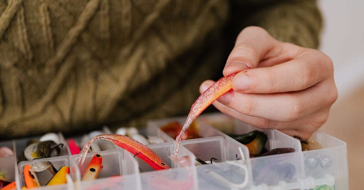 découvrez notre sélection de leurres et appâts de qualité pour la pêche. que vous soyez débutant ou expert, trouvez l'équipement idéal pour attirer vos proies. profitez de conseils et astuces pour optimiser vos sorties de pêche.