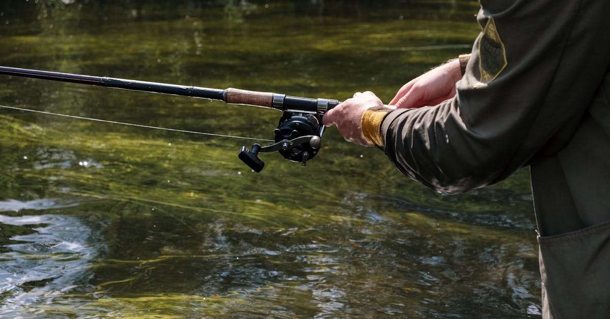 découvrez l'univers fascinant des appâts (bait) pour la pêche. apprenez à choisir le meilleur équipement, à maîtriser les techniques et à optimiser vos prises. que vous soyez débutant ou expert, trouvez ici des conseils pratiques et des astuces pour rendre vos sorties de pêche mémorables.