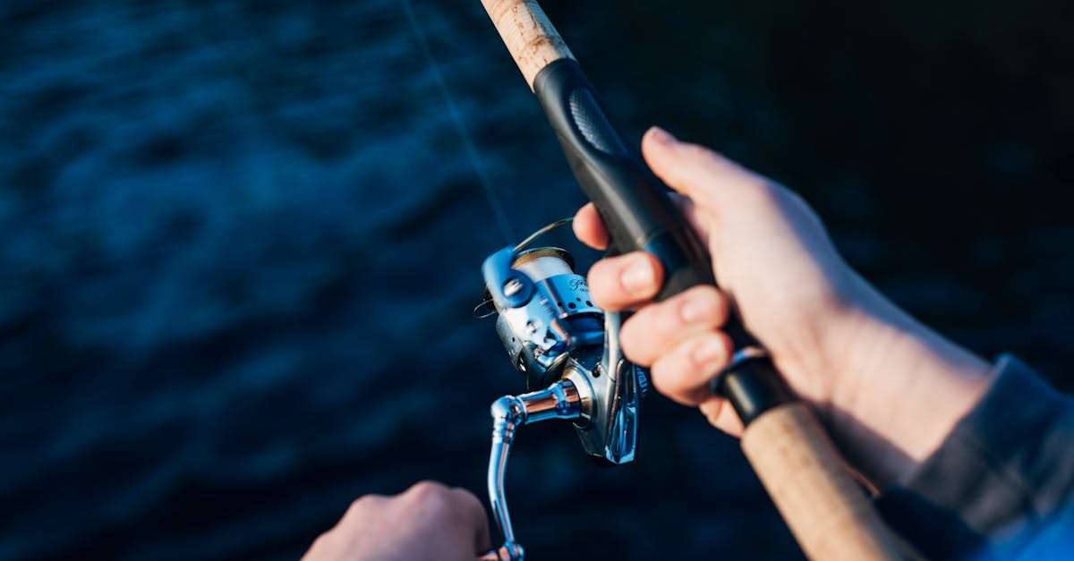 découvrez l'univers fascinant de la pêche ! que vous soyez débutant ou expert, trouvez des conseils, des techniques et des astuces pour réussir vos sorties de pêche. explorez notre guide complet sur les meilleurs endroits, matériels et appâts pour attraper vos poissons favoris.