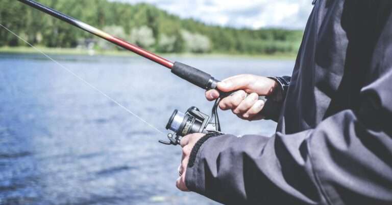 découvrez l'univers captivant de la pêche avec nos astuces, techniques et conseils pour tous les passionnés, débutants ou experts. explorez les meilleurs spots de pêche, les équipements indispensables et améliorez vos compétences pour vivre des moments inoubliables au bord de l'eau.