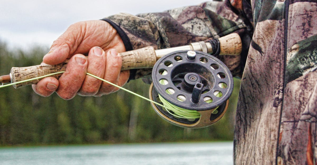 découvrez l'univers fascinant de la pêche : techniques, astuces, et destinations incontournables pour vivre des moments de détente au bord de l'eau. que vous soyez débutant ou expert, trouvez ici tout ce qu'il vous faut pour une expérience de pêche inoubliable.