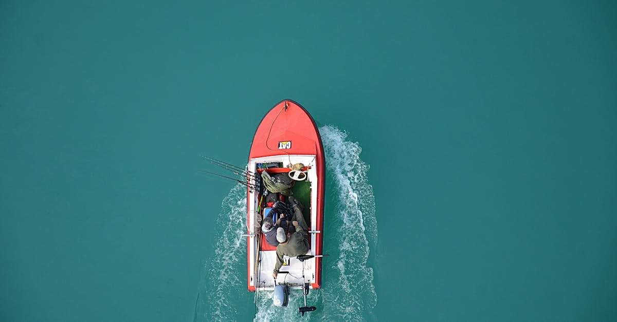 découvrez l'univers du fishing : astuces, techniques et meilleures destinations pour les passionnés de pêche. que vous soyez débutant ou expert, plongez dans des conseils pratiques et des récits inspirants pour vivre des moments inoubliables au bord de l'eau.