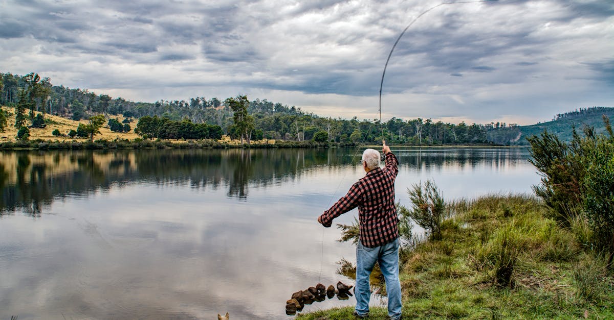 découvrez l'univers captivant de la pêche : techniques, astuces, meilleurs spots et équipements indispensables pour maximiser vos chances de succès. parfait pour les passionnés et les novices en quête d'aventures au bord de l'eau.