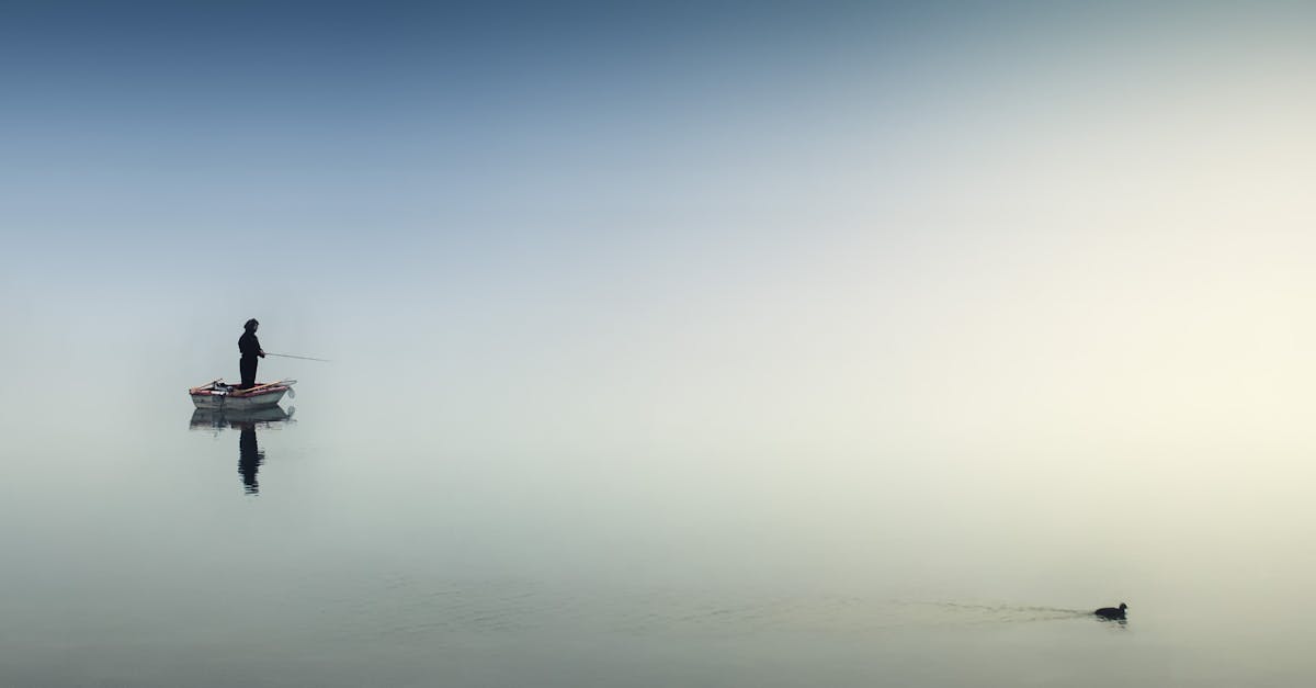 découvrez l'univers passionnant de la pêche, des techniques et astuces pour attraper vos poissons préférés, ainsi que des conseils sur le matériel et les meilleurs spots de pêche.