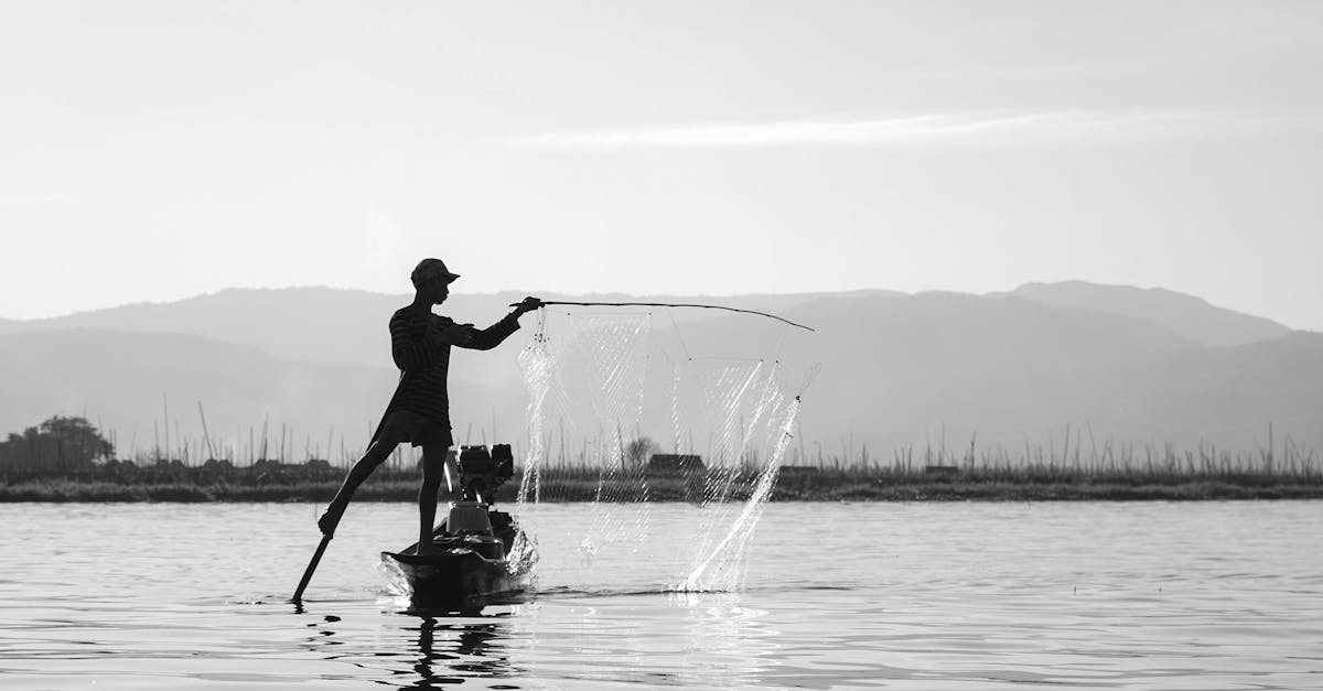 découvrez l'univers fascinant de la pêche : astuces, techniques, équipements et destinations incontournables pour les passionnés de cette activité relaxante et enrichissante. plongez dans des conseils pratiques et des récits de pêche inoubliables.