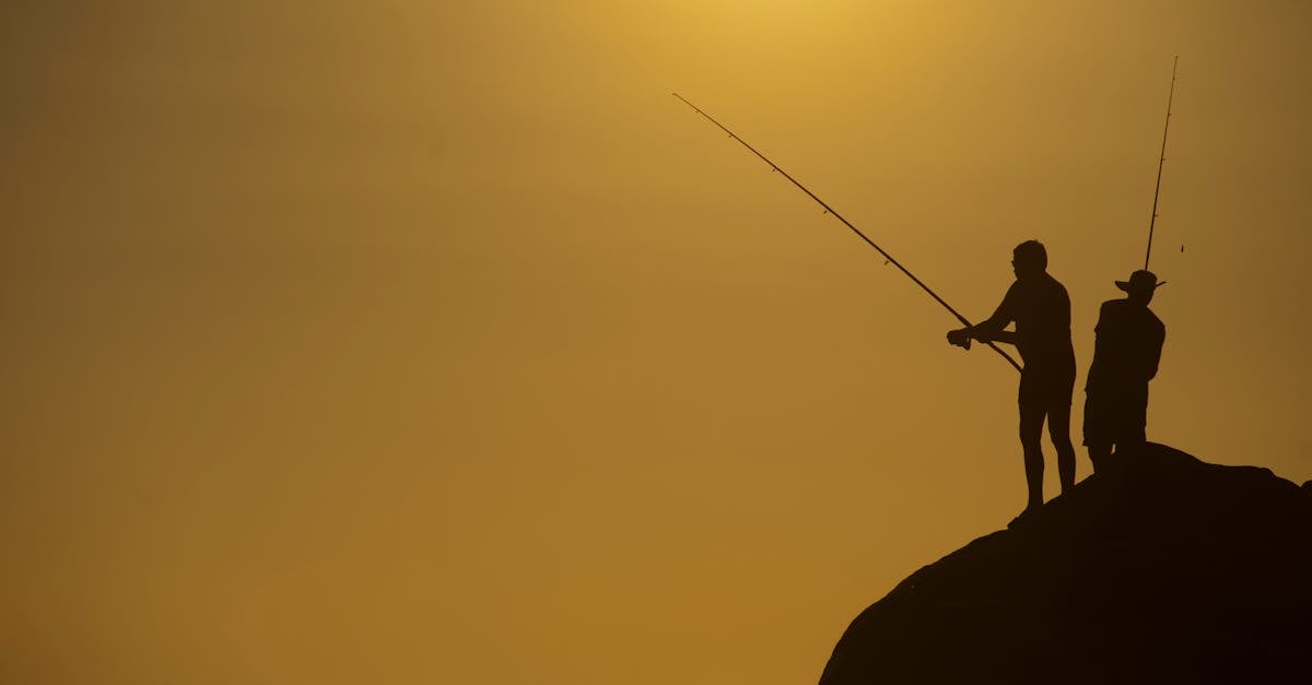 découvrez l'univers passionnant de la pêche : techniques, astuces, meilleurs spots et équipements indispensables pour réussir vos sorties de pêche, que vous soyez débutant ou expert.