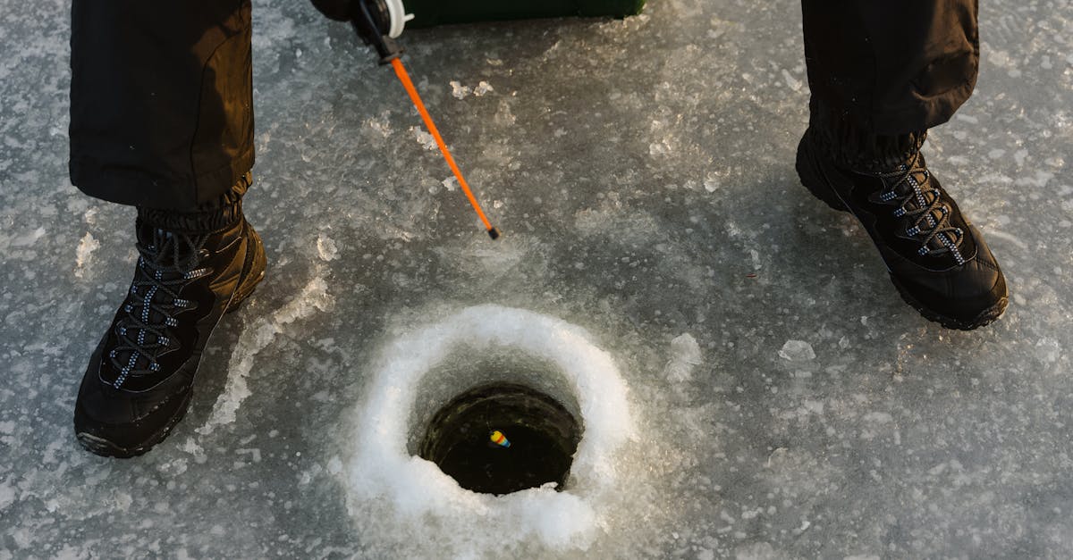 découvrez l'univers passionnant de la pêche ! apprenez les techniques, les équipements et les meilleurs spots pour pêcher. que vous soyez débutant ou expert, trouvez des conseils et des astuces pour profiter pleinement de vos sorties de pêche.