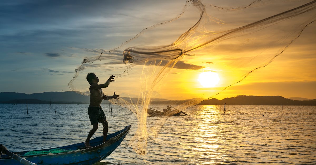 découvrez l'art de la pêche avec nos conseils, techniques et astuces pour attraper les poissons. que vous soyez débutant ou expert, plongez dans l'univers passionnant du fishing et explorez les meilleures destinations de pêche.