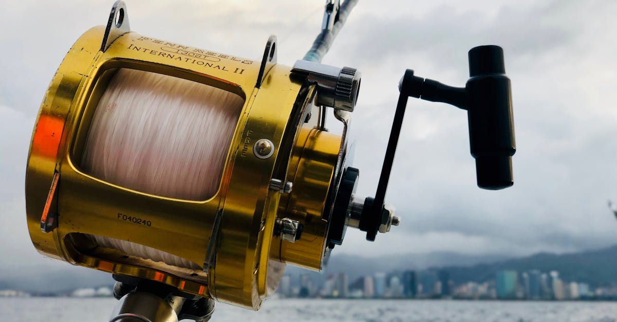 découvrez les plaisirs de la pêche avec notre guide complet sur les techniques, les équipements et les meilleurs spots de pêche. que vous soyez débutant ou expert, trouvez des conseils pour profiter pleinement de votre passion.