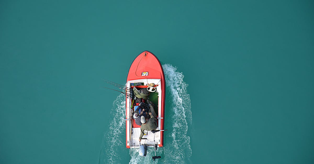 découvrez l'univers fascinant de la pêche, que vous soyez débutant ou expert. apprenez les techniques, les meilleurs équipements et les astuces pour réussir vos sorties en plein air. explorez les différents types de pêche et profitez des conseils pour vivre des moments inoubliables au bord de l'eau.