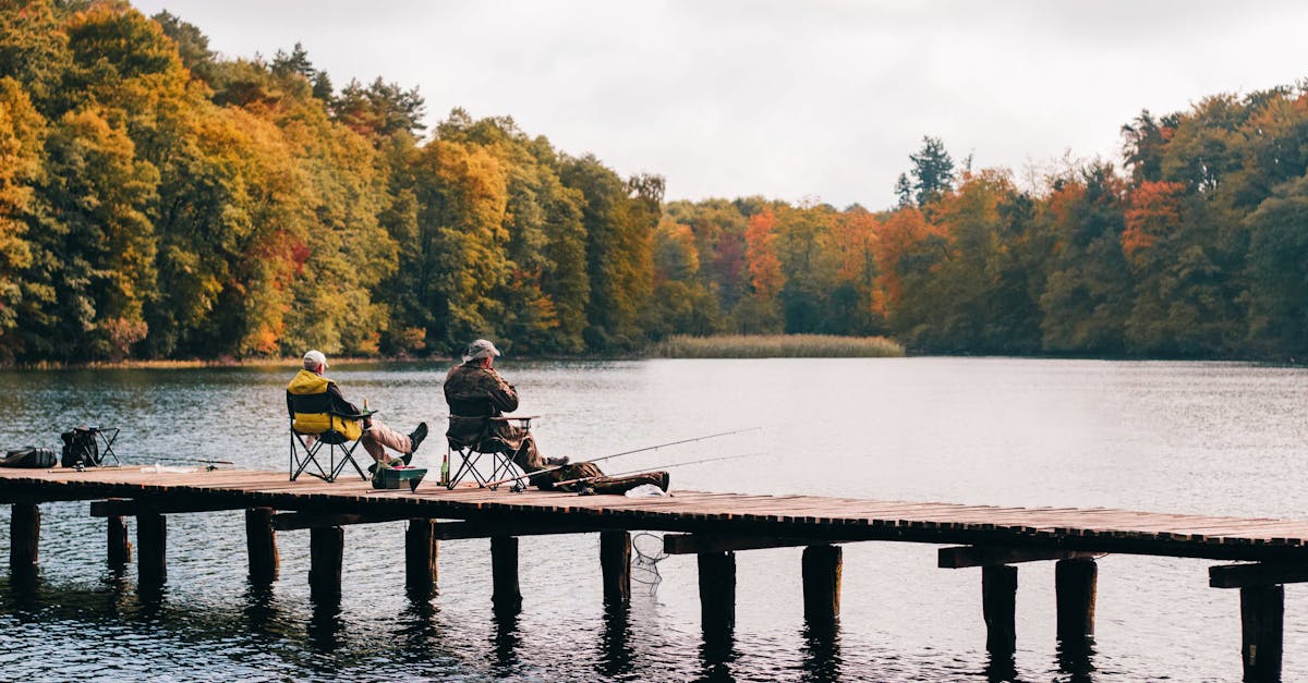 découvrez le monde fascinant de la pêche avec nos conseils et techniques pour réussir vos sorties. que vous soyez débutant ou pêcheur expérimenté, explorez les meilleures destinations, équipements et astuces pour profiter pleinement de votre passion pour la pêche.