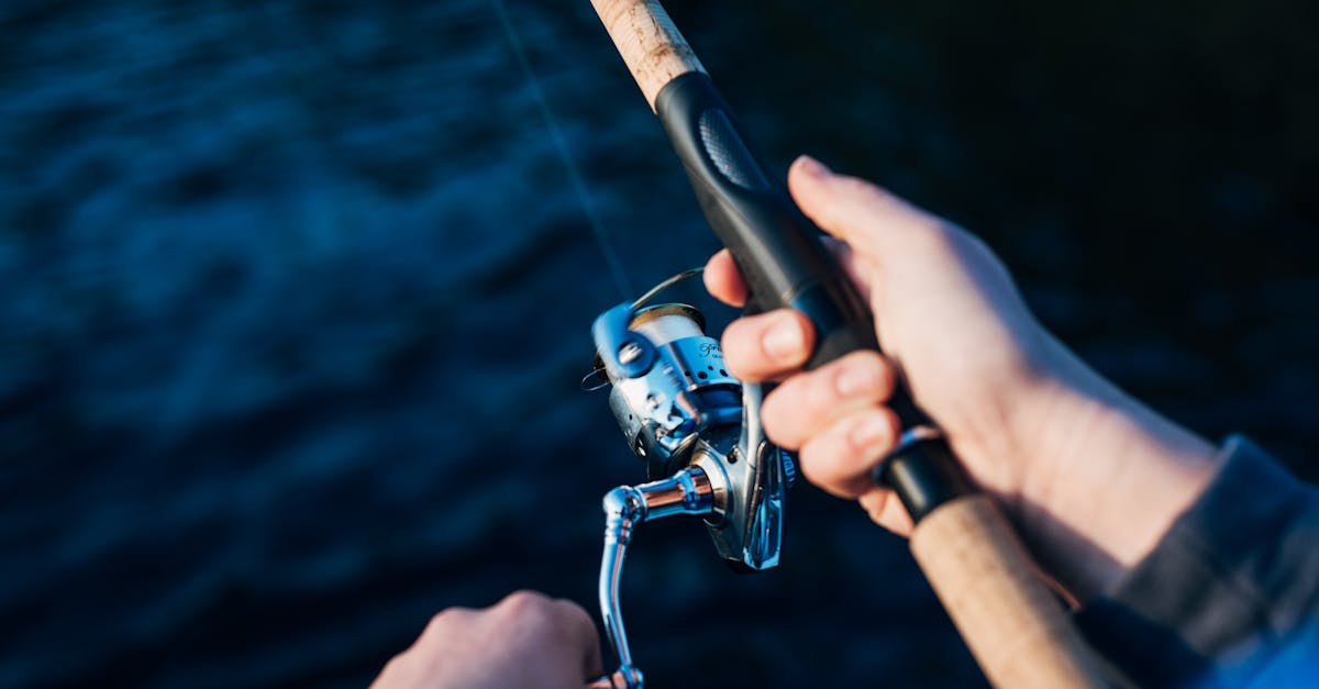 découvrez l'univers passionnant de la pêche : techniques, équipements et destinations idéales pour les amateurs de pêche. que vous soyez débutant ou expert, trouvez des conseils et astuces pour réussir vos sorties en pleine nature.