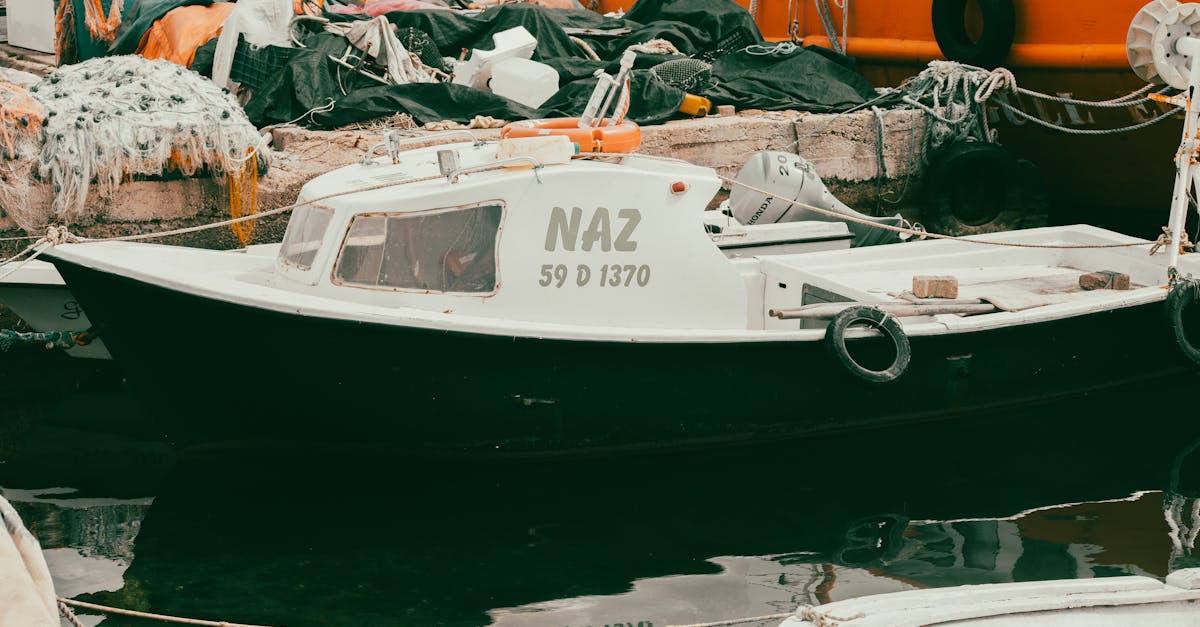 découvrez notre sélection d'équipement de pêche de haute qualité, parfait pour les passionnés comme les débutants. trouvez tout ce dont vous avez besoin, des cannes aux appâts, pour une expérience de pêche inoubliable.