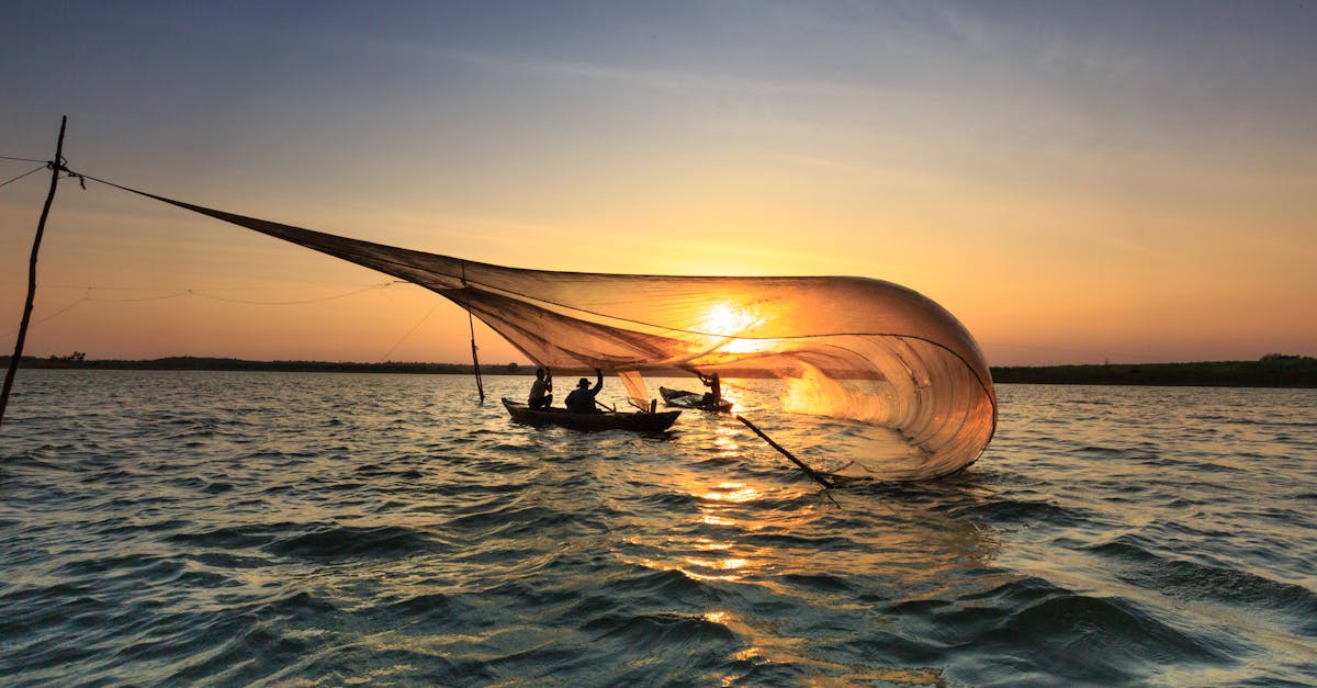 découvrez notre vaste sélection de matériel de pêche, allant des cannes et moulinets aux leurres et accessoires essentiels. que vous soyez débutant ou expert, trouvez l'équipement parfait pour vos aventures de pêche.