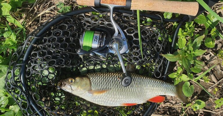 découvrez notre large gamme d'équipements de pêche, adaptés à tous les niveaux et styles de pêche. que vous soyez débutant ou expert, trouvez tout le nécessaire pour rendre vos sorties de pêche inoubliables.