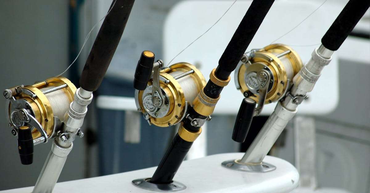 découvrez notre gamme d'équipements de pêche de haute qualité, idéale pour les passionnés comme pour les débutants. trouvez tout le nécessaire, des cannes aux leurres, pour vivre des moments inoubliables au bord de l'eau.