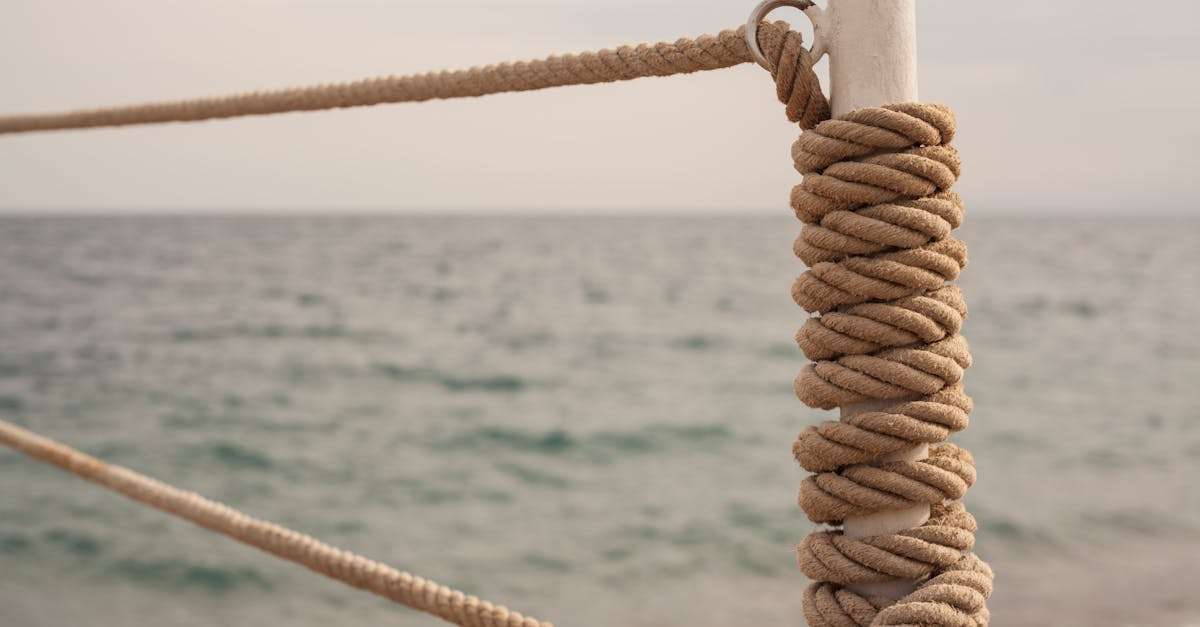 découvrez l'art des nœuds de pêche avec notre guide complet. apprenez à réaliser les nœuds essentiels pour maximiser vos chances de succès au bord de l'eau. que vous soyez débutant ou pêcheur expérimenté, maîtrisez les techniques pour un amorçage parfait et une prise efficace.
