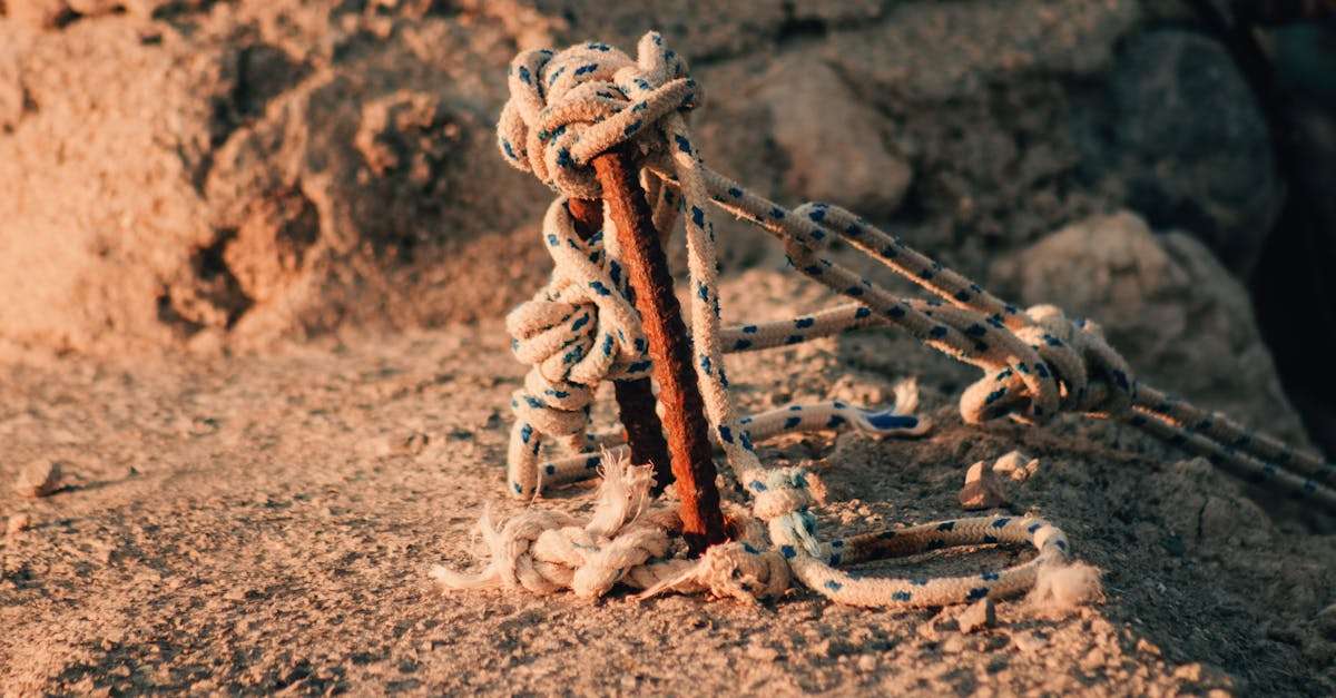 découvrez l'art des nœuds de pêche : apprenez à créer des nœuds solides et fiables pour maximiser vos prises et améliorer votre expérience de pêche. idéal pour les pêcheurs débutants et expérimentés, cet article vous guide à travers les nœuds essentiels à maîtriser.