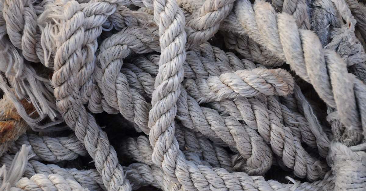 découvrez notre guide complet sur les nœuds de pêche, incluant des instructions détaillées et des astuces pour maîtriser les techniques essentielles. que vous soyez débutant ou expert, apprenez à attacher vos lignes, hameçons et leurres avec précision pour une expérience de pêche réussie.