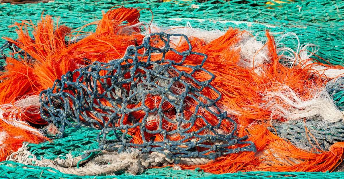 découvrez les différents nœuds de pêche essentiels pour optimiser votre expérience de pêche. apprenez à réaliser des nœuds solides et fiables, parfaits pour relier votre ligne aux leurres ou aux hameçons. que vous soyez débutant ou expert, maîtriser ces techniques vous aidera à attraper plus de poissons.