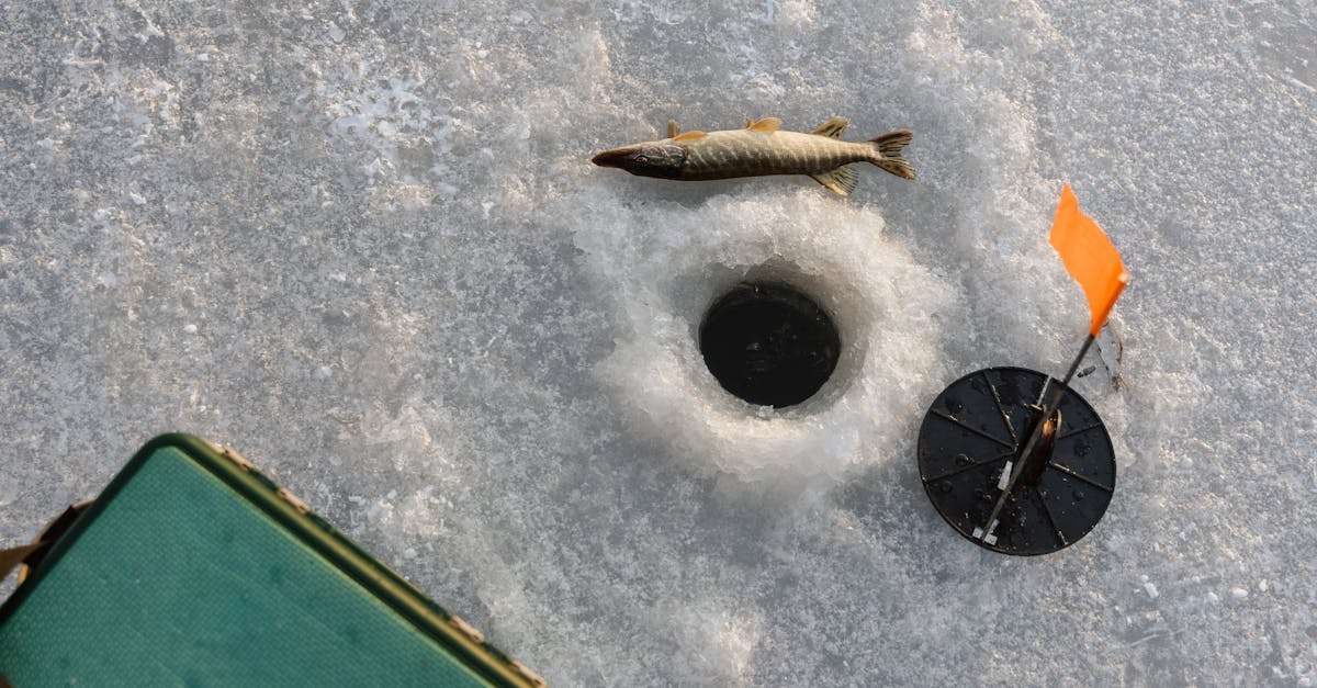 découvrez les meilleures destinations de pêche pour vivre des aventures inoubliables. que vous soyez débutant ou expert, explorez des lieux idylliques pour attraper vos poissons préférés tout en profitant de la nature.