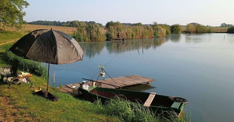 découvrez les meilleures destinations de pêche à travers le monde. que vous soyez un pêcheur expérimenté ou débutant, trouvez l'endroit idéal pour profiter de moments inoubliables au bord de l'eau. explorez nos recommandations pour des spots de pêche exceptionnels et préparez-vous à plonger dans l'aventure de la pêche.