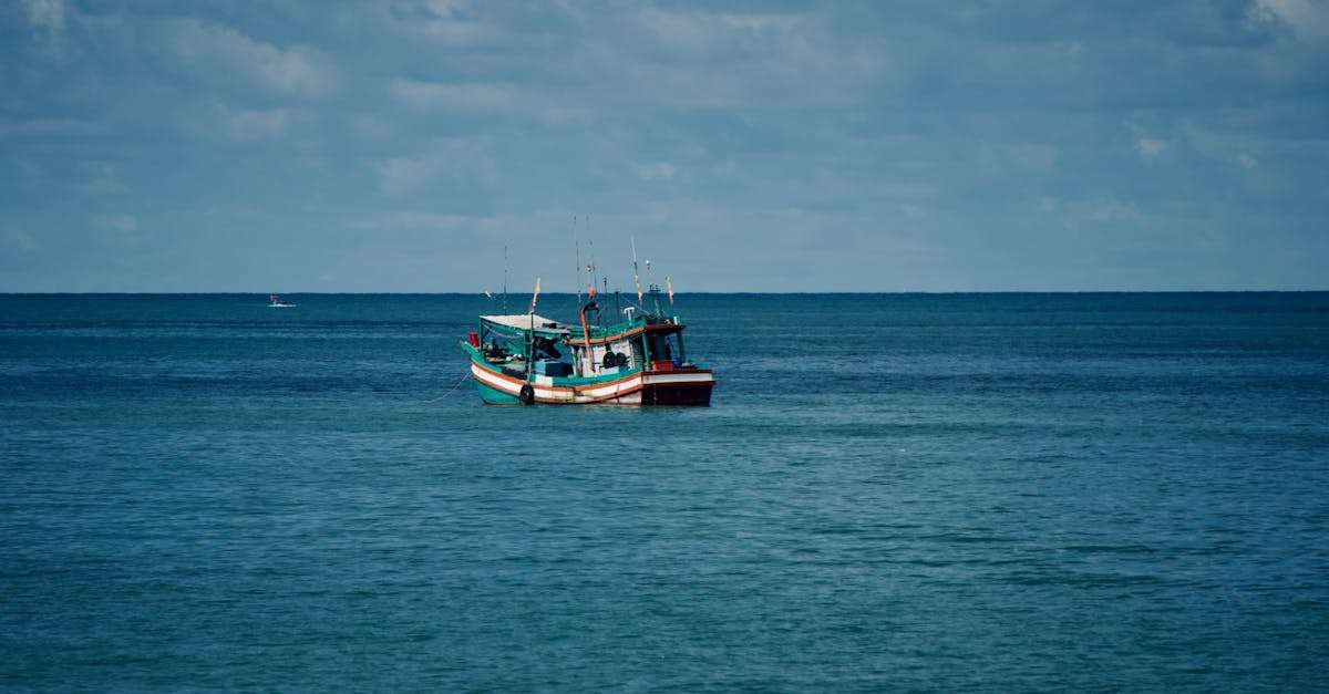 découvrez les erreurs les plus courantes en pêche et apprenez à les éviter pour améliorer vos captures. que vous soyez débutant ou expérimenté, cet article vous aidera à devenir un pêcheur plus avisé.