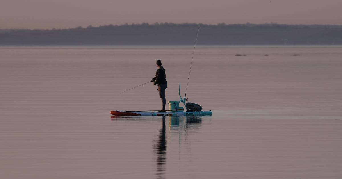 découvrez les erreurs courantes à éviter lors de la pêche pour améliorer vos chances de succès. apprenez des conseils pratiques et des astuces pour perfectionner votre technique et maximiser votre expérience de pêche.