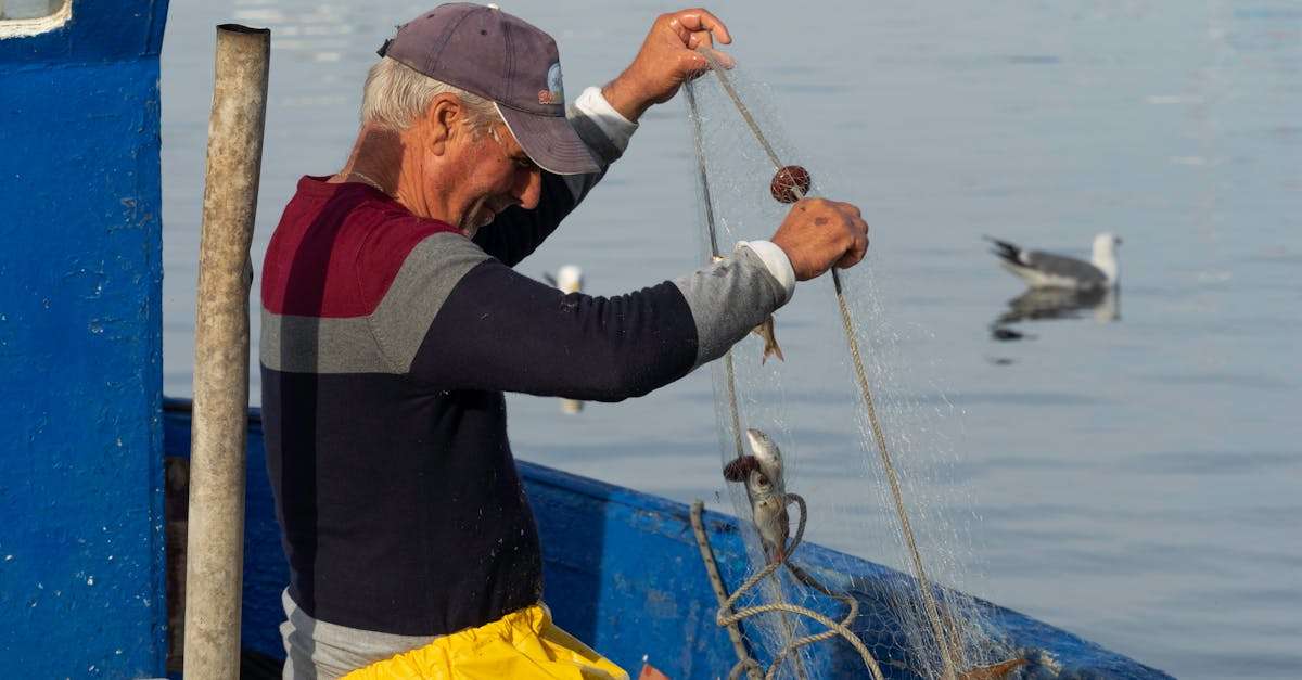 découvrez les meilleures techniques de pêche pour maximiser vos sorties en plein air. que vous soyez débutant ou expert, apprenez des astuces et conseils pratiques pour attraper les poissons de vos rêves.