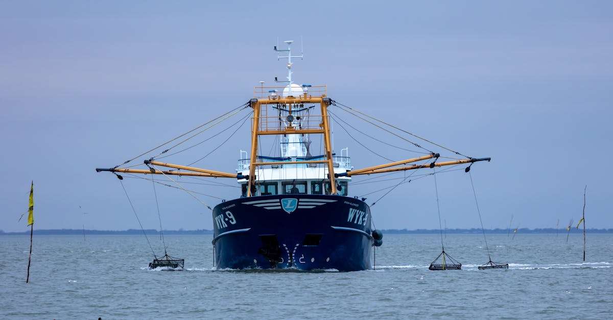 découvrez les meilleures techniques de pêche pour améliorer vos compétences et maximiser vos prises. que vous soyez débutant ou pêcheur expérimenté, explorez des méthodes variées adaptées à chaque type de poisson et à chaque environnement aquatique.