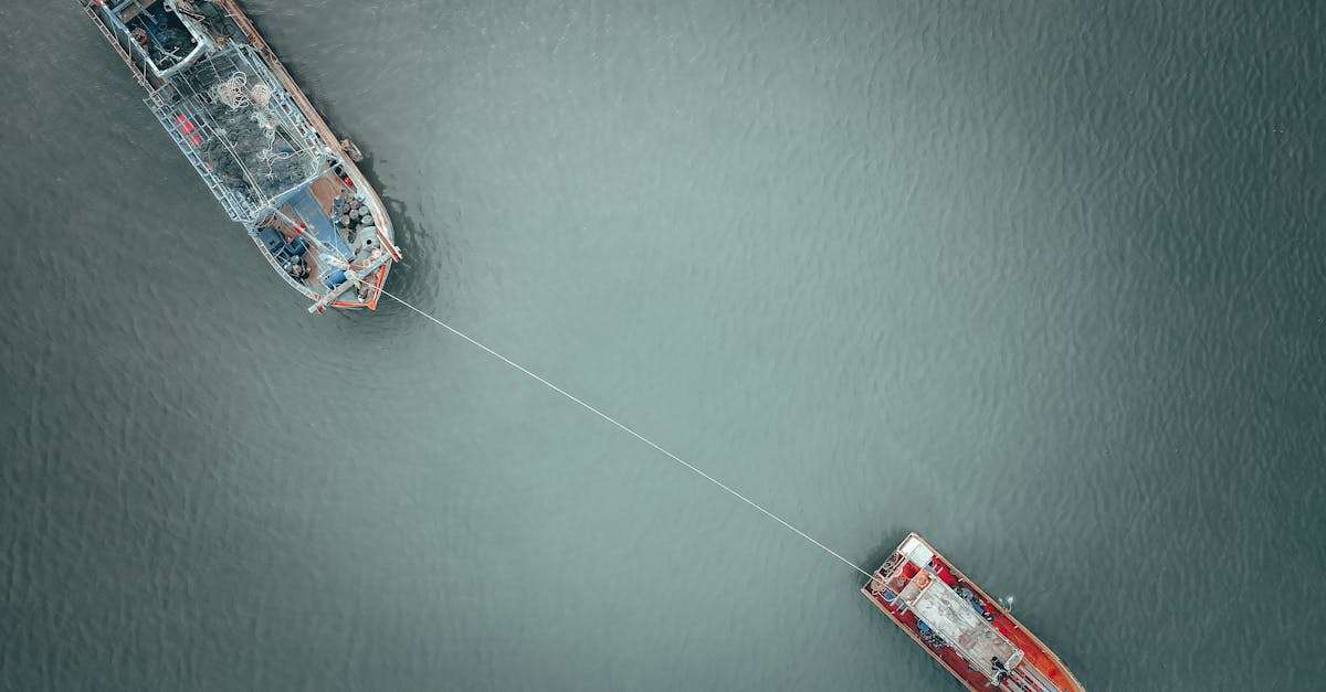 découvrez l'art de la pêche à la flotte, une technique passionnante pour attraper vos poissons préférés. apprenez des astuces et des conseils pour optimiser vos sorties en fishing, que vous soyez débutant ou pêcheur expérimenté.