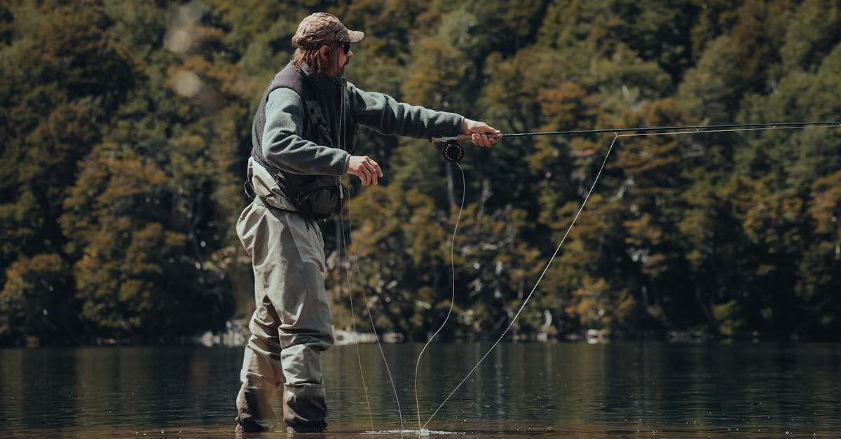 découvrez l'art de la pêche à la mouche, une expérience immersive au cœur de la nature. apprenez des techniques de pêche innovantes, choisissez le matériel adapté et explorez les plus belles rivières pour attraper des poissons tout en profitant d'un moment de détente et de connexion avec l'environnement.