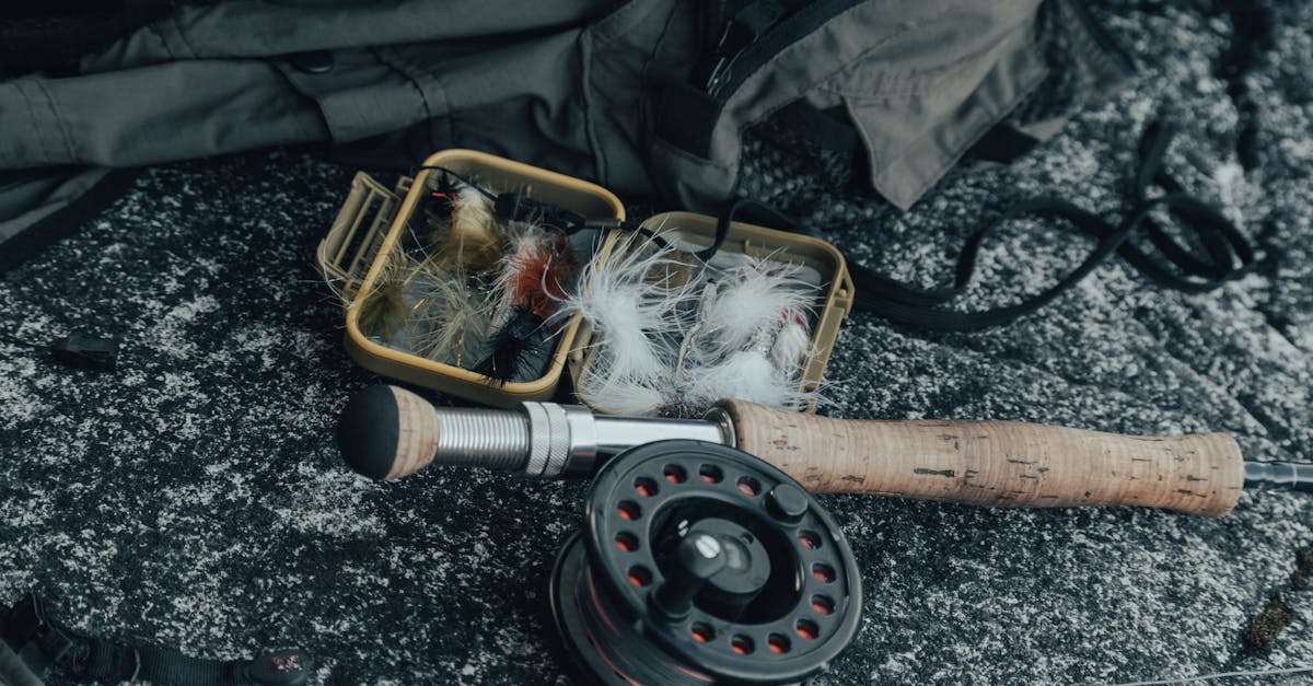 découvrez l'art de la pêche à la mouche : un mélange de calme, de nature et de technique. apprenez les meilleures pratiques, les astuces et les lieux incontournables pour vivre une expérience inoubliable en plein air.