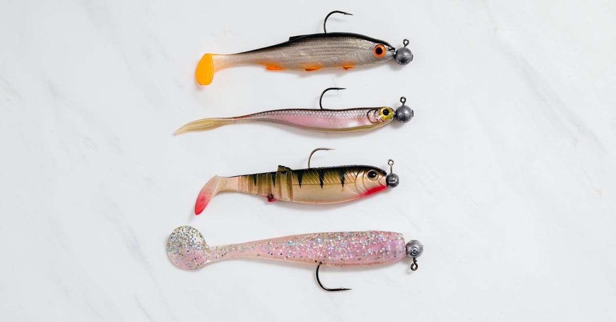 découvrez le plaisir de la pêche en eau douce : conseils, techniques et astuces pour les amateurs et les passionnés. explorez des endroits magnifiques et apprenez tout sur les espèces de poissons d'eau douce.
