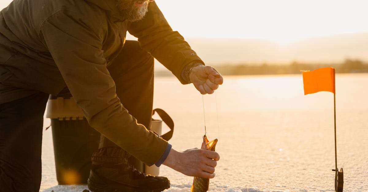 découvrez l'univers de la pêche en eau douce avec nos conseils pratiques, les meilleures techniques, et des spots incontournables. que vous soyez débutant ou pêcheur expérimenté, explorez des astuces pour profiter pleinement de vos sorties de pêche.