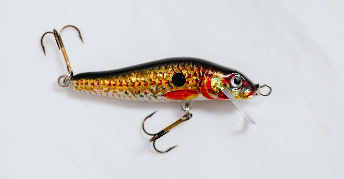 découvrez l'univers de la pêche en eau douce, des conseils pratiques, des techniques efficaces et les meilleurs spots pour attraper poissons et autres espèces aquatiques. que vous soyez débutant ou pêcheur expérimenté, trouvez tout ce dont vous avez besoin pour réussir votre journée de pêche en pleine nature.