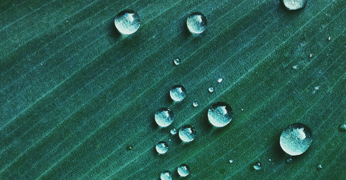 découvrez le micro-tirage, une méthode de tirage précise et contrôlée, idéale pour les artistes et créateurs souhaitant produire des œuvres uniques en petits volumes. optimisez votre création avec des images de haute qualité et un processus personnalisé.