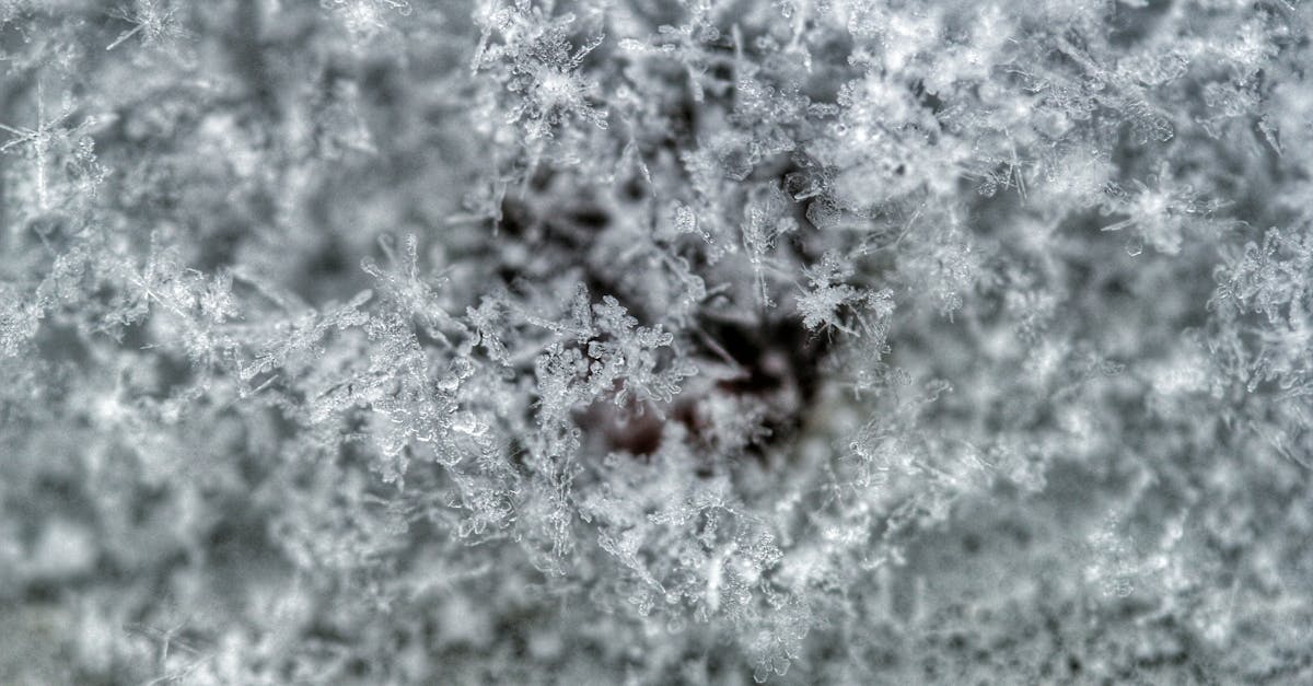 découvrez le micro-tirage, une méthode innovante d'impression et de production qui permet de réaliser de petites quantités de tirages avec une qualité d'image exceptionnelle. idéale pour les artistes, photographes et professionnels souhaitant des impressions sur mesure et uniques.