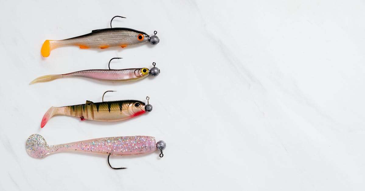 découvrez l'univers captivant de la pêche au brochet ! apprenez les meilleures techniques, équipements et astuces pour capturer ce prédateur reconnu. que vous soyez débutant ou expert, trouvez des conseils pour profiter pleinement de vos sorties de pêche.