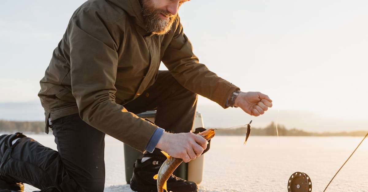 découvrez l'art de la pêche au brochet : techniques, conseils et astuces pour capturer ce prédateur aquatique. que vous soyez débutant ou expert, explorez les meilleurs spots et apprenez à choisir le bon équipement pour une expérience inoubliable.