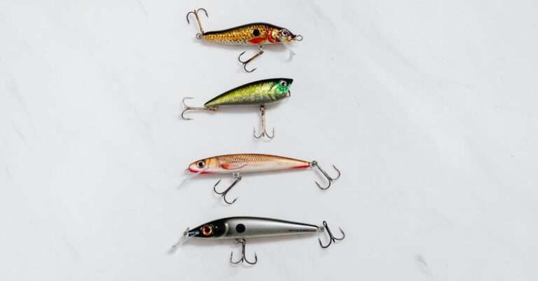 découvrez l'art de la pêche au brochet, une activité passionnante qui allie technique et patience. apprenez les meilleures astuces et techniques pour attraper ce prédateur emblématique des eaux douces et vivez des aventures inoubliables au bord de l'eau.