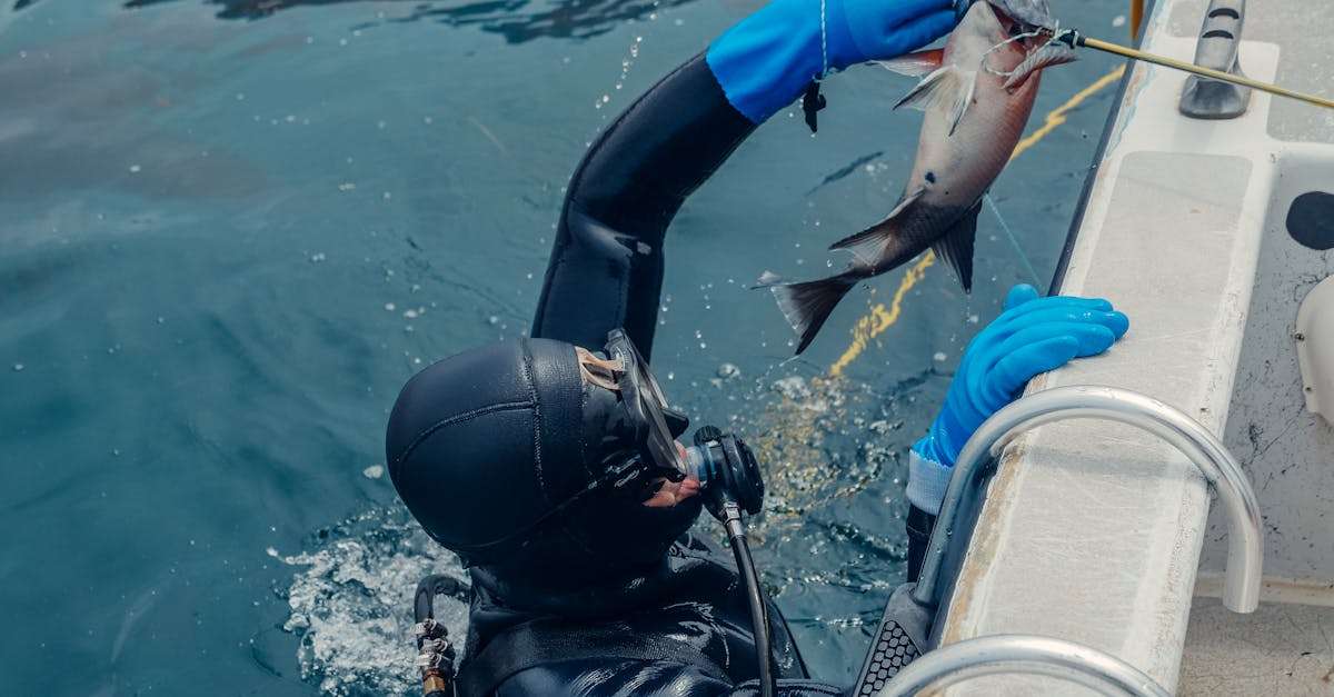 découvrez l'univers passionnant de la pêche sportive : techniques, équipements, et meilleures destinations pour vivre des aventures inoubliables au bord de l'eau.