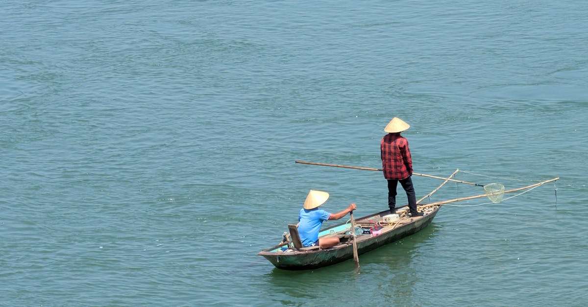 découvrez l'excitation de la pêche en été avec nos conseils pratiques, les meilleurs spots, et les techniques pour attraper vos poissons préférés. profitez de la nature et vivez des moments inoubliables au bord de l'eau pendant la belle saison.