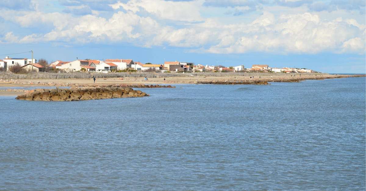 découvrez les meilleures astuces et conseils pour la pêche d'été. profitez des journées ensoleillées au bord de l'eau avec des techniques adaptées aux saisons chaudes, des recommandations sur les lieux de pêche et les équipements essentiels pour une expérience inoubliable.