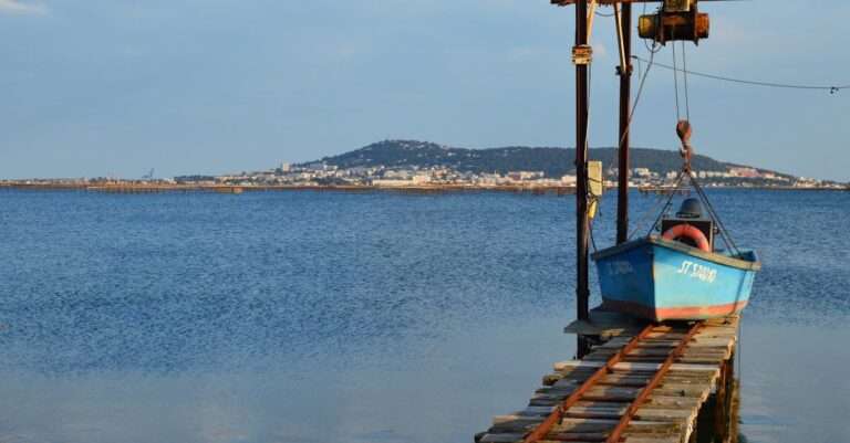 découvrez les meilleures techniques de pêche estivale pour profiter pleinement des beaux jours. que vous soyez débutant ou expert, plongez dans l'univers de la pêche en été et apprenez à attraper vos poissons préférés au cœur de la nature.